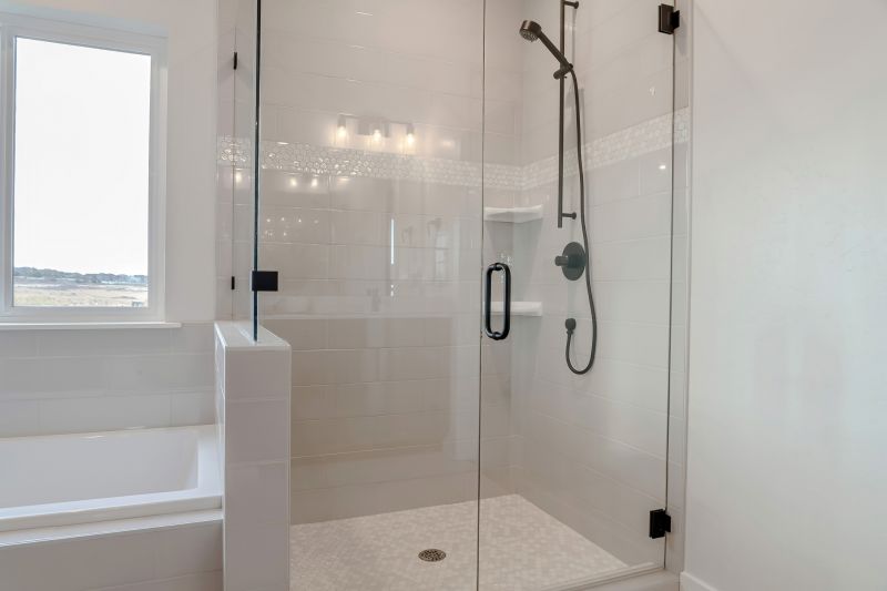 Minimalist Shower Door