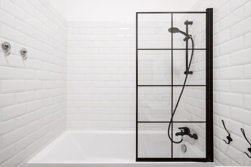 Black Frame Modern Shower